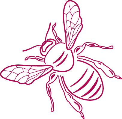 Line Art Grafik von einer Biene